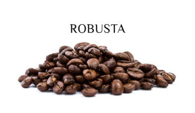 Сильный кофе робуста для любителей эспрессо