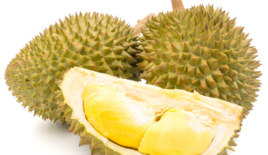 Discover Exquisite Flavor with Durian RI6: The King of Tropical Fruits