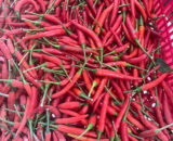 Frozen Red Chilli