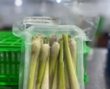 Frozen lemongrass