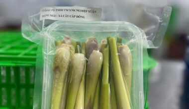 Frozen lemongrass