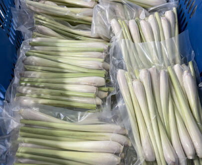 Frozen lemongrass