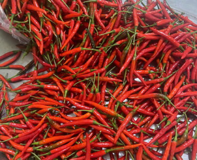 Frozen Red Chilli
