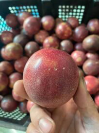 Fruits de la passion surgelés