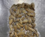 Frozen Blanched Peanuts